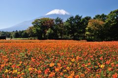 週末の富士山（新作309）