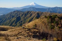 週末の富士山（新作1054）