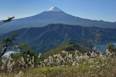 平日の富士山804
