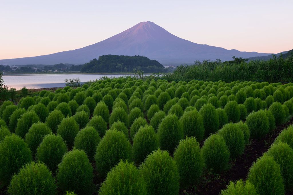 平日の富士山373