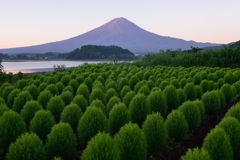 平日の富士山373