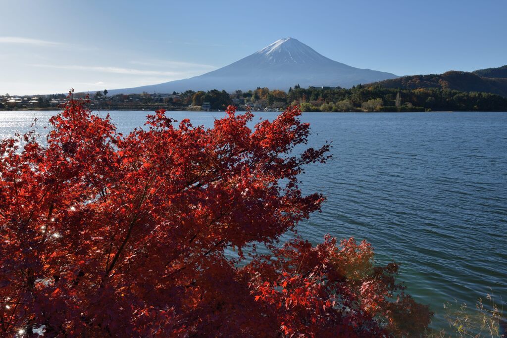 平日の富士山906
