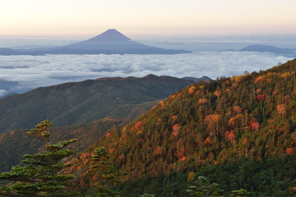 週末の富士山（新作1033）