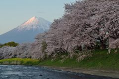 平日の富士山266