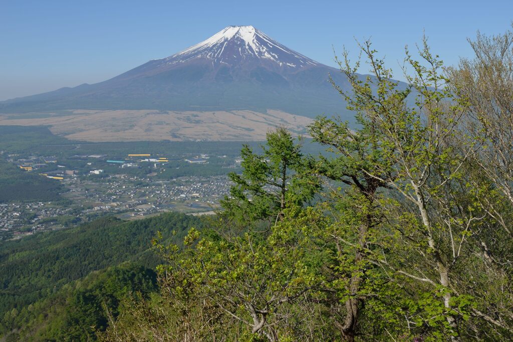 週末の富士山48
