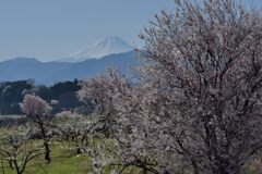 平日の富士山1062