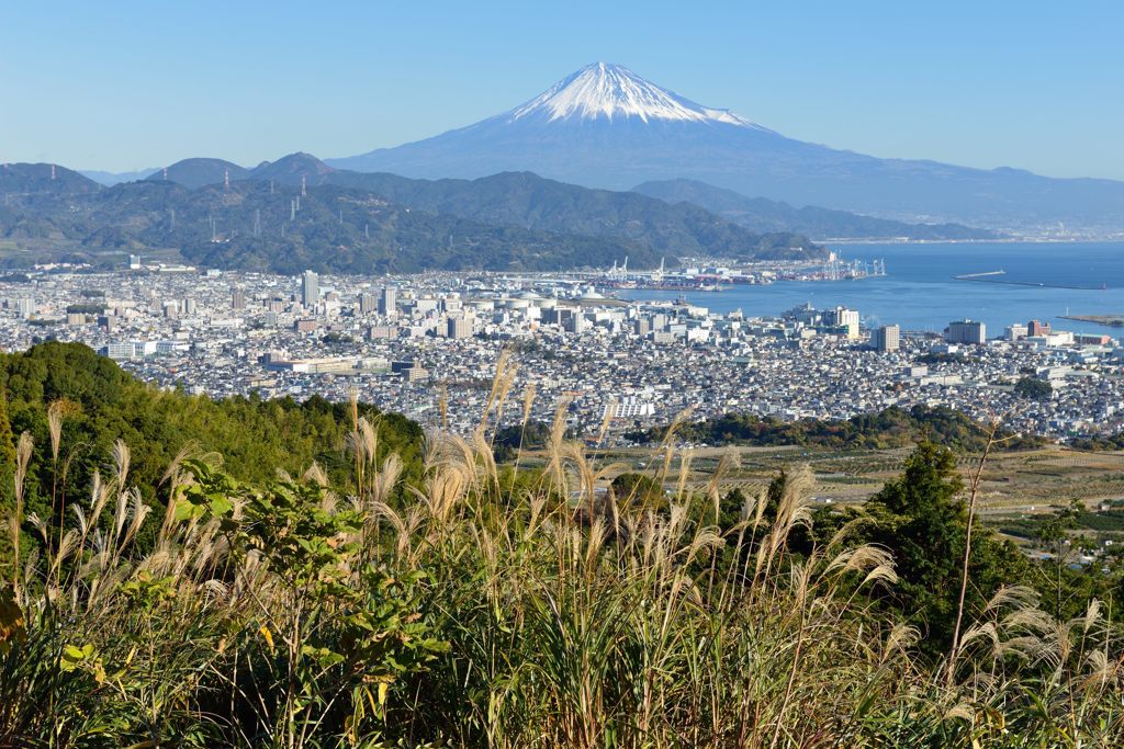 平日の富士山505