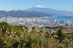平日の富士山505