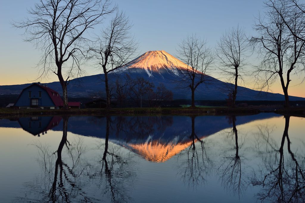 平日の富士山470