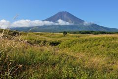週末の富士山（新作696）