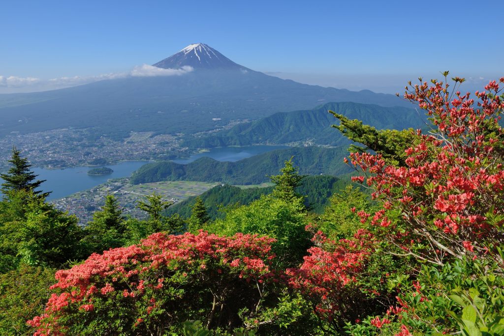 平日の富士山32