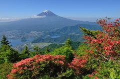 平日の富士山32