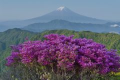 週末の富士山（新作900）