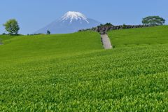 週末の富士山（新作852）