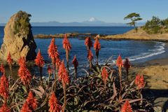 平日の富士山583