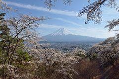 週末の富士山（新作1151）