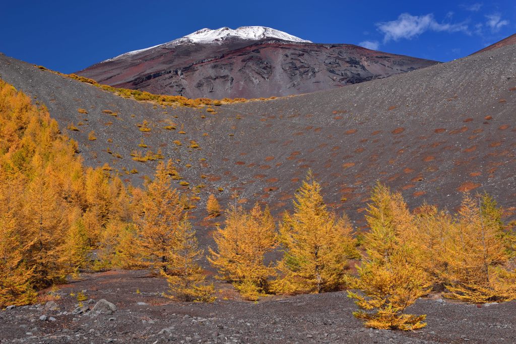 週末の富士山（新作52）