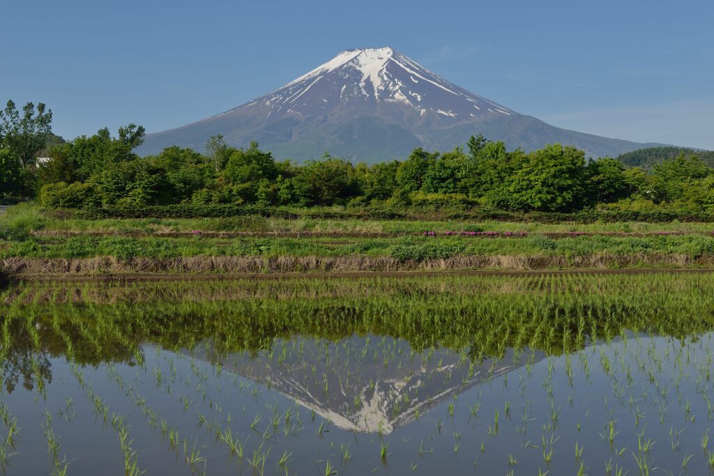 週末の富士山84