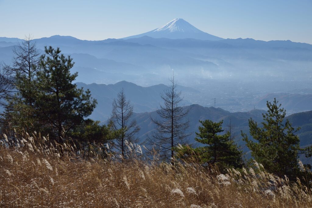 週末の富士山217