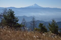 週末の富士山217