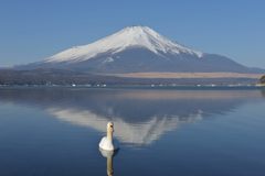 週末の富士山（新作788）