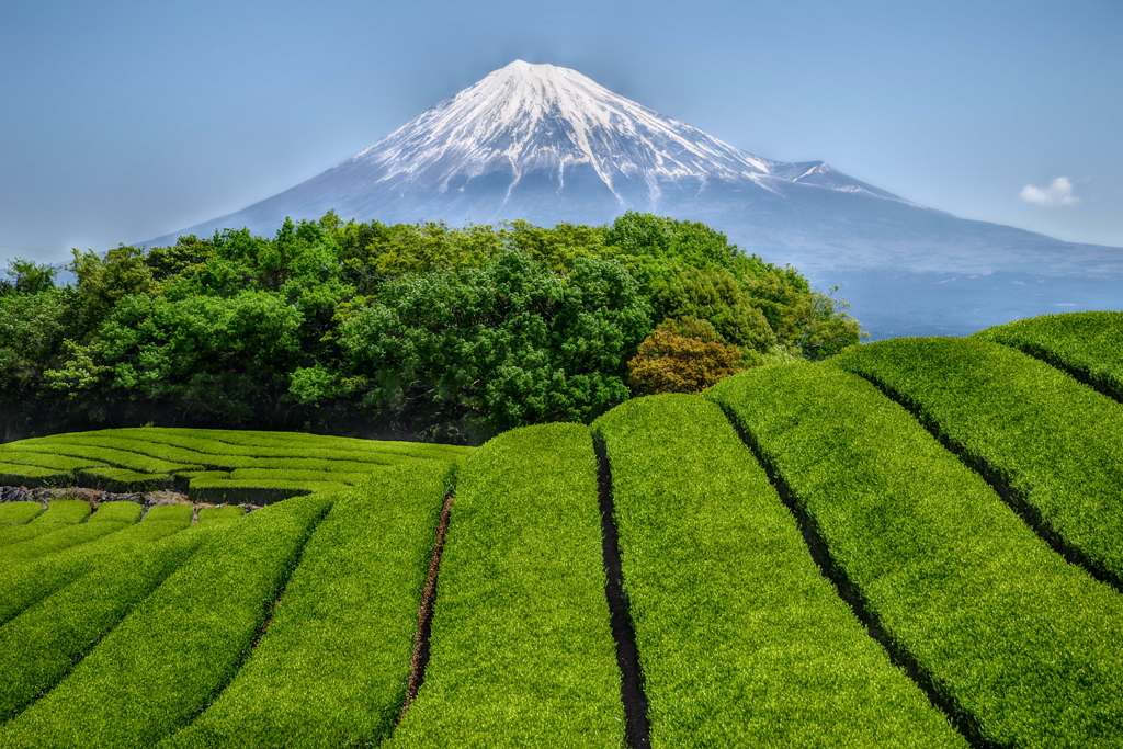 週末の富士山（新作648）