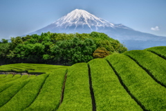 週末の富士山（新作648）