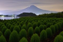平日の富士山367