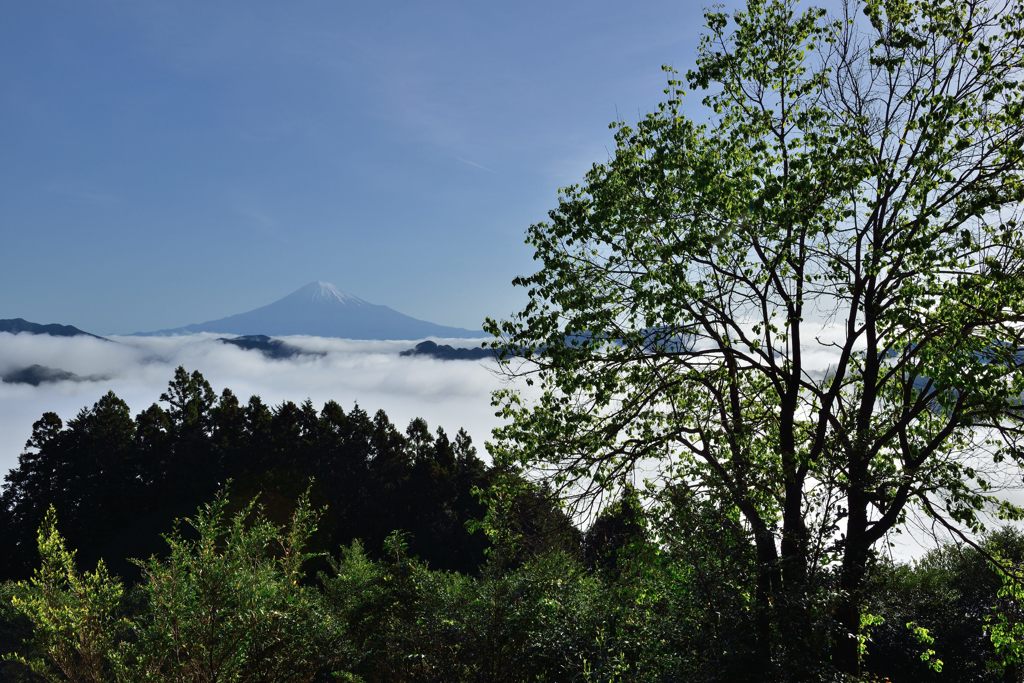 平日の富士山21