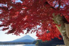 週末の富士山186