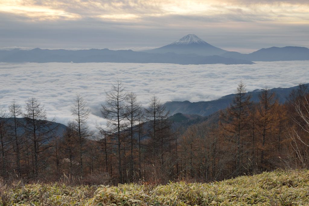 平日の富士山431