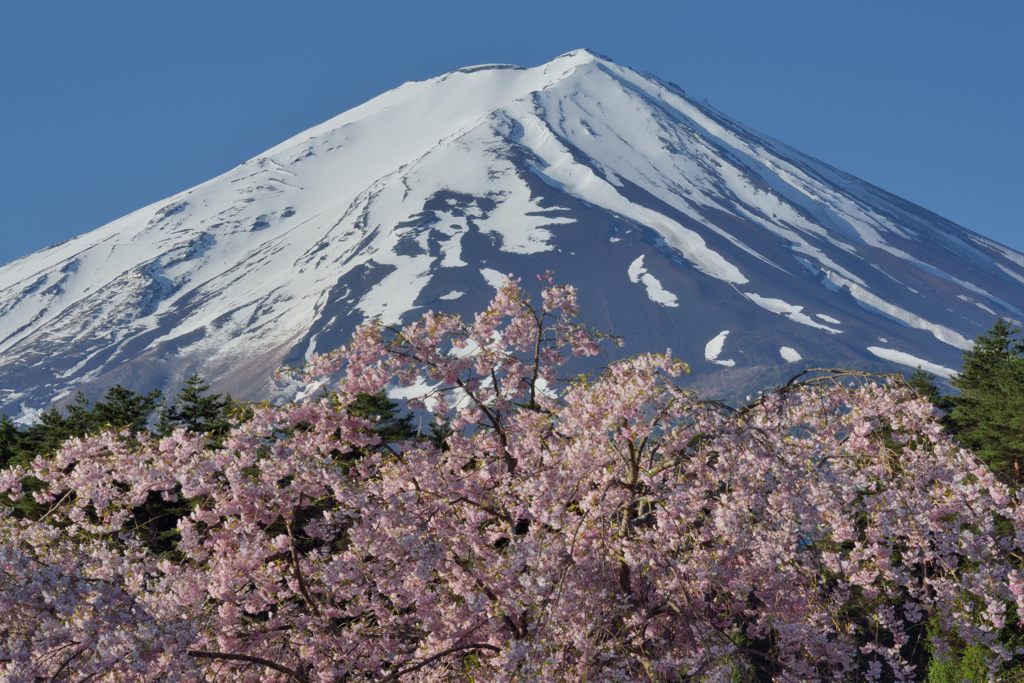 週末の富士山（新作442）
