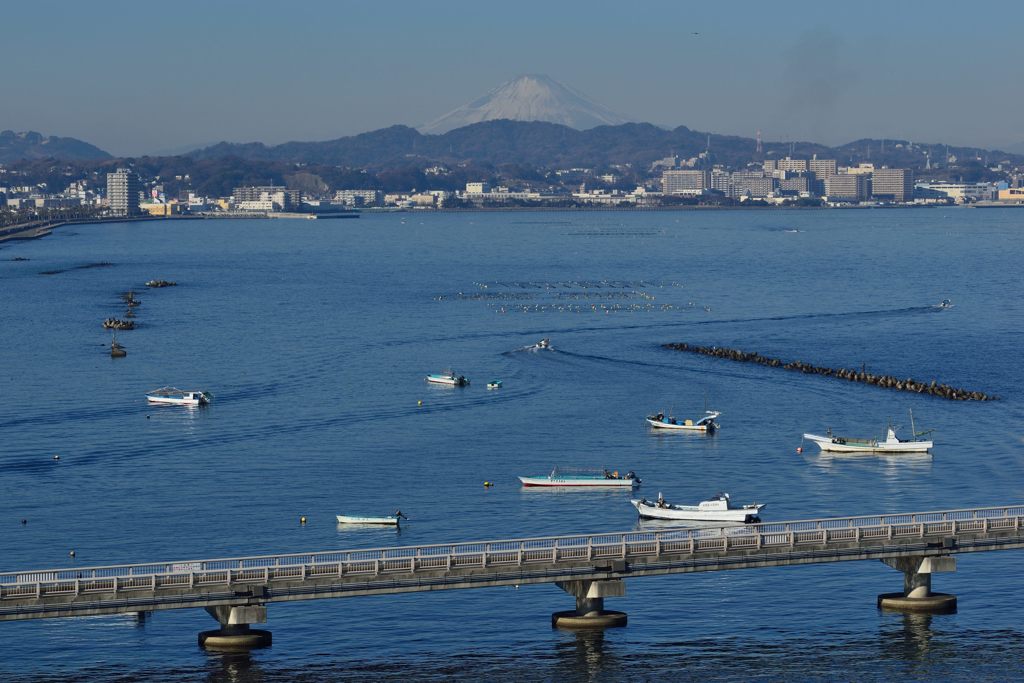 週末の富士山（新作717）
