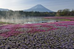 週末の富士山（新作1185）