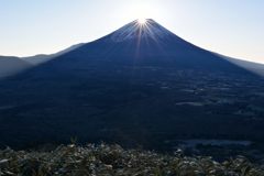 週末の富士山（新作503）