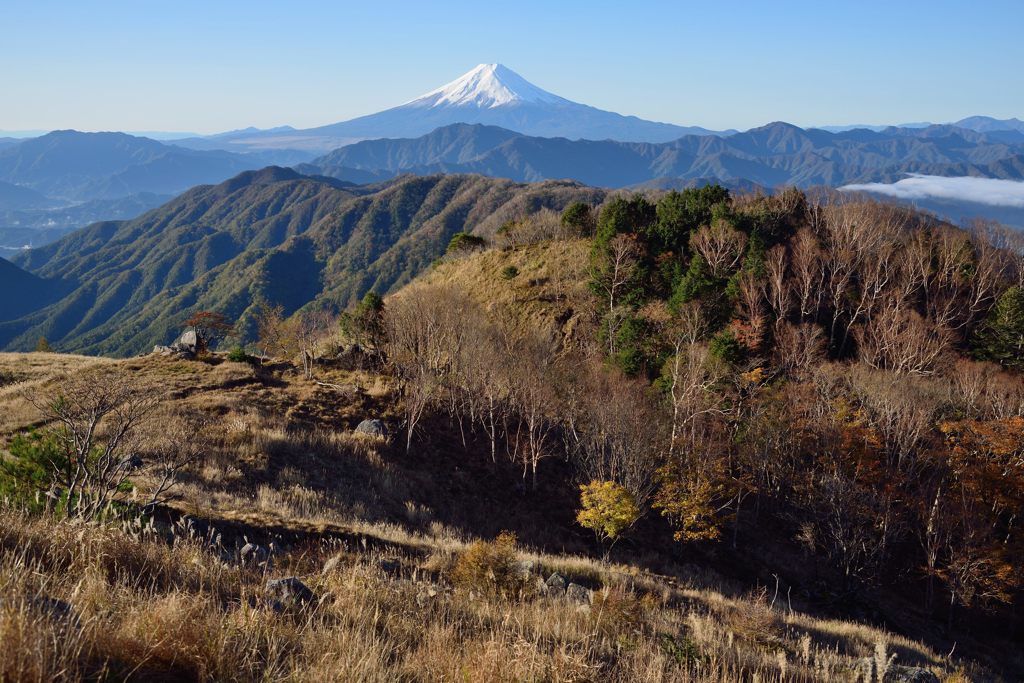 週末の富士山（新作1055）