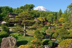 週末の富士山（新作660）