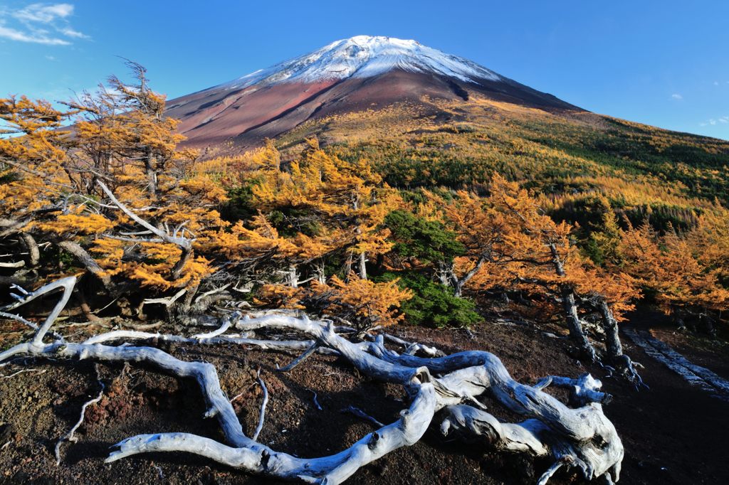 週末の富士山53