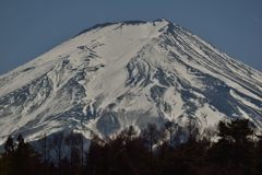 週末の富士山（新作774）