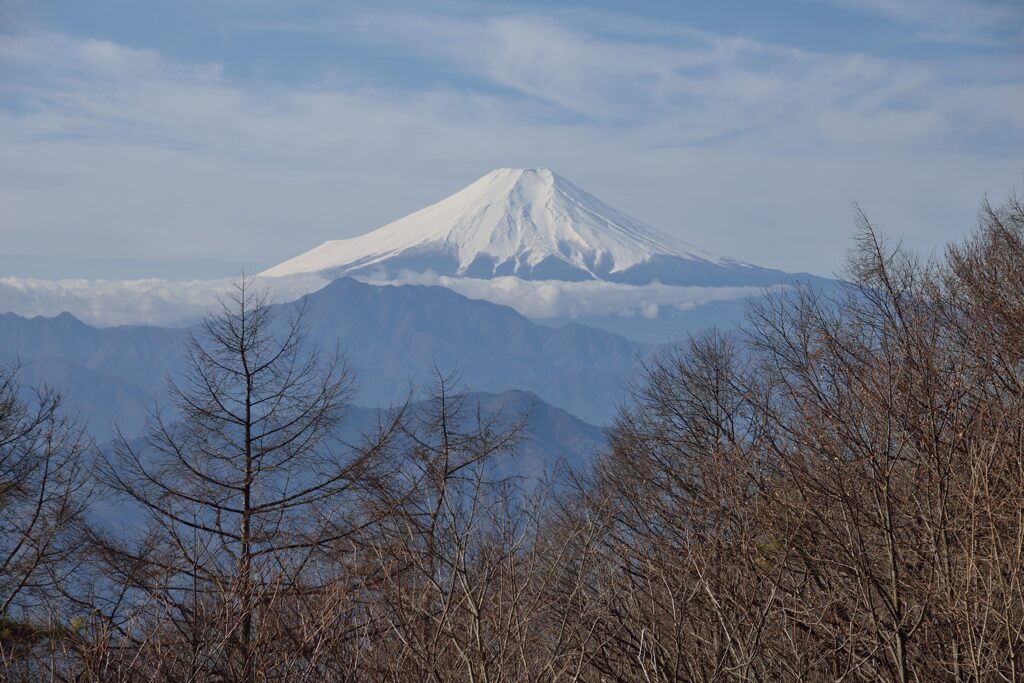 週末の富士山（新作1351）