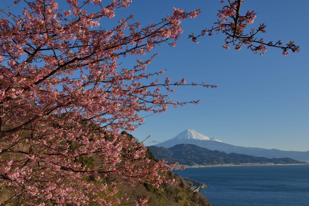週末の富士山（新作1274）