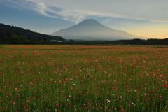 週末の富士山（新作938）