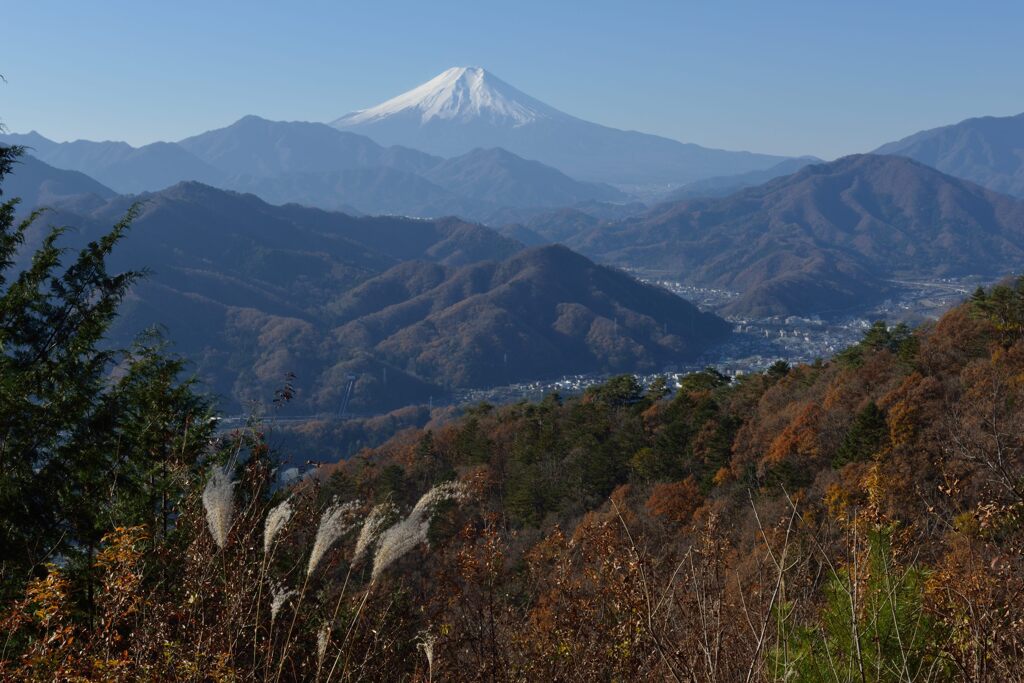 平日の富士山958