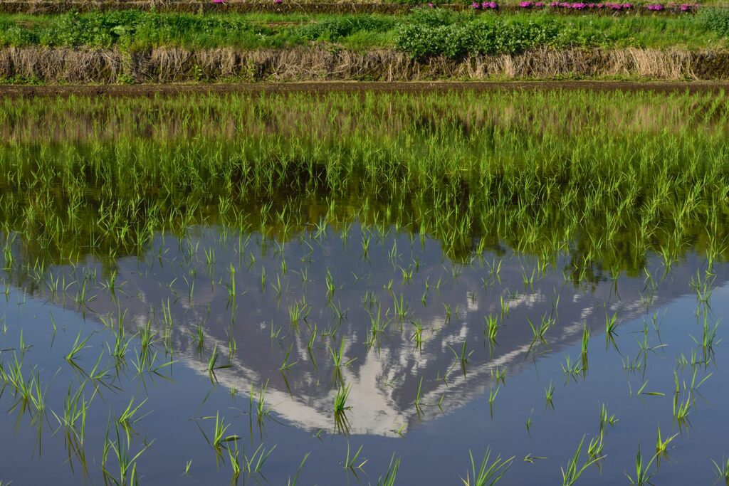 週末の富士山83
