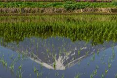 週末の富士山83