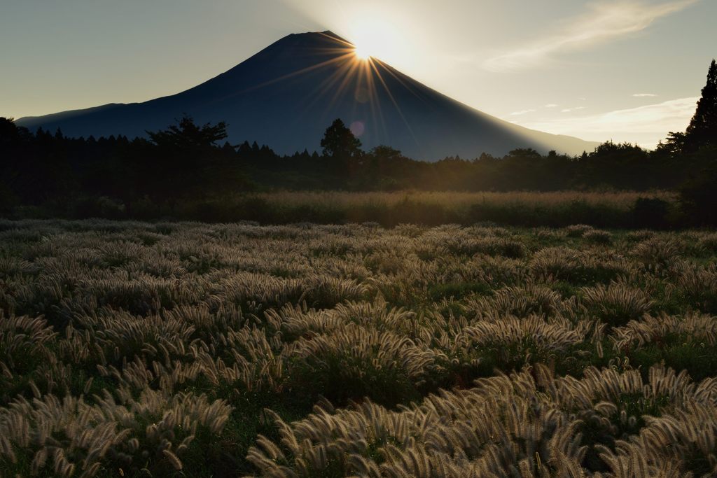 週末の富士山（新作27）
