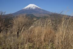 週末の富士山264