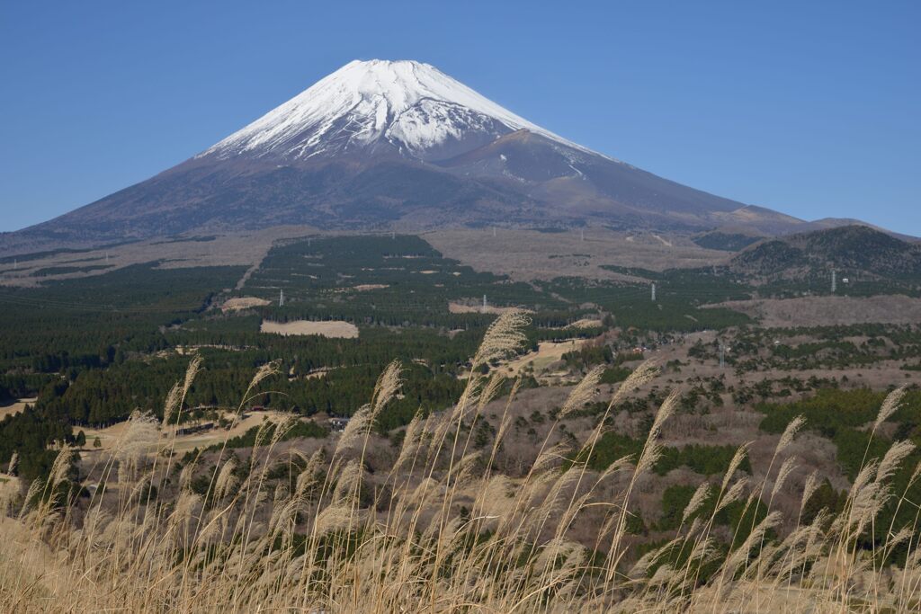 週末の富士山261