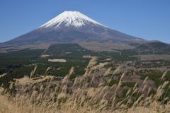 週末の富士山261