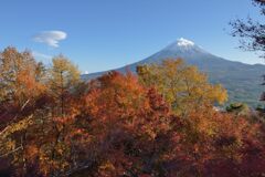 平日の富士山872